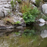 Photo de France - La randonnée des Gorges d'Héric